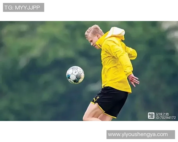 探索hop足球的魅力与技巧提升之路，助你成为场上明星球员